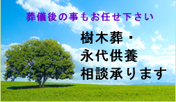 樹木葬・永代供養相談承ります